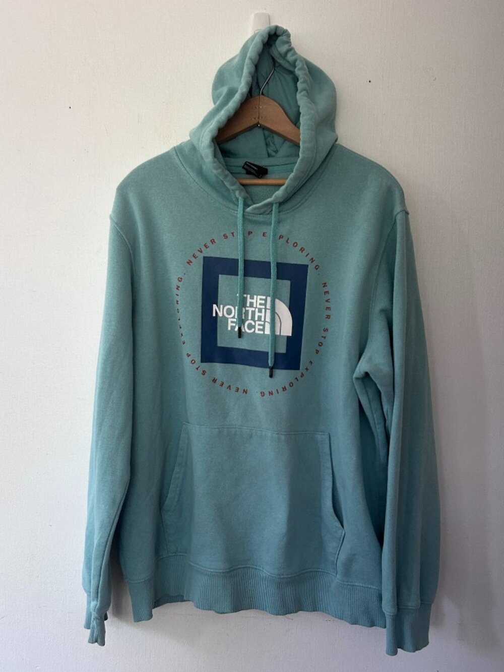 The North Face Graphic Hoodie Mens Large Blue Pullover‎ Sweatshirt Gorpcore